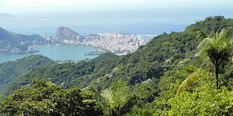 Foto de Mariz e Barros