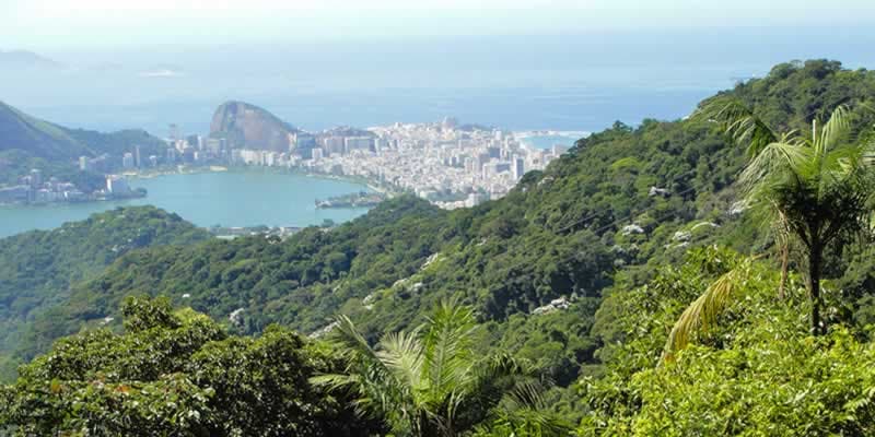 Foto de Mariz e Barros